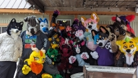 Furries à la cabane à sucre 3e édition